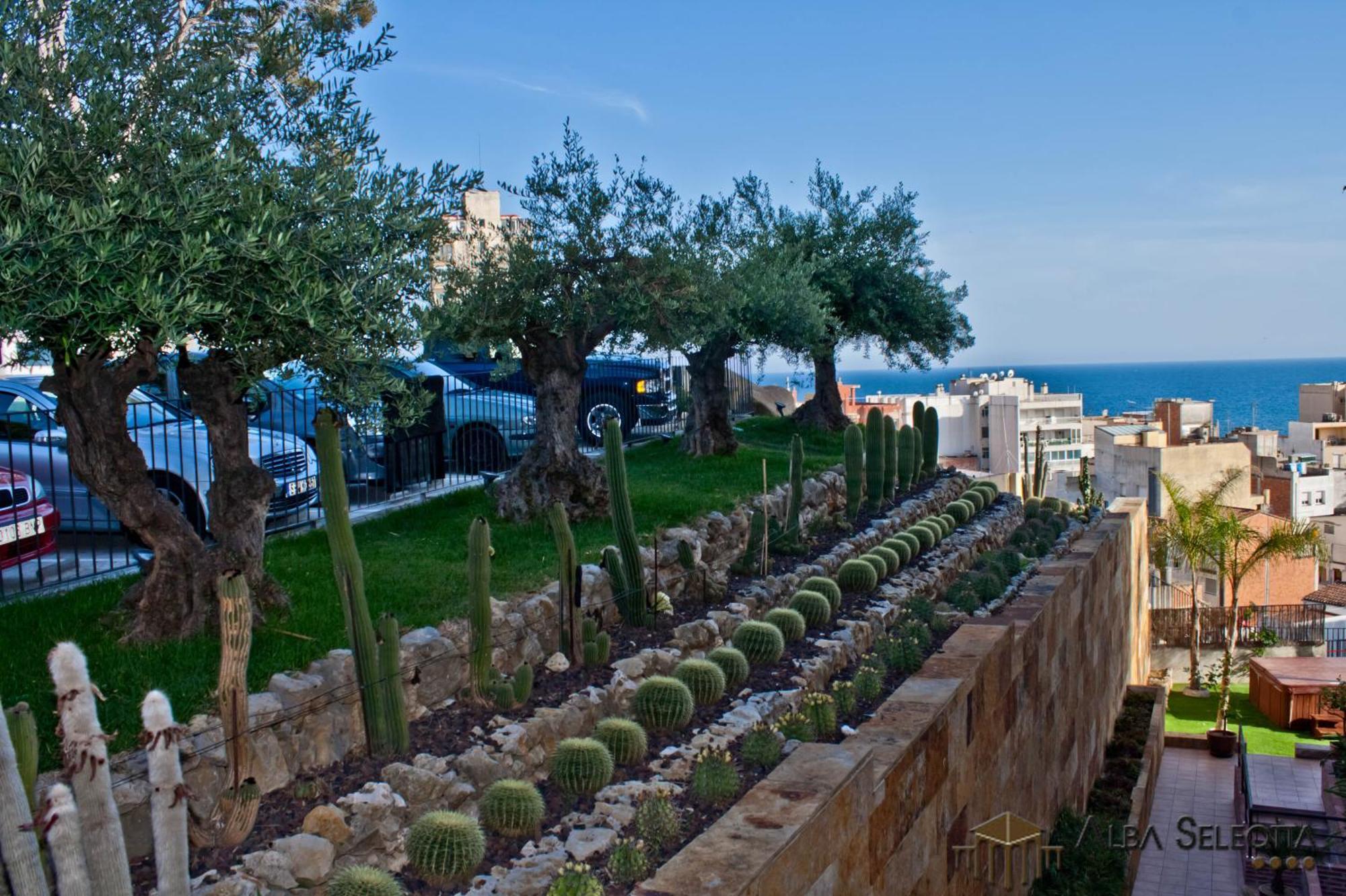 Hotel Alba Seleqtta